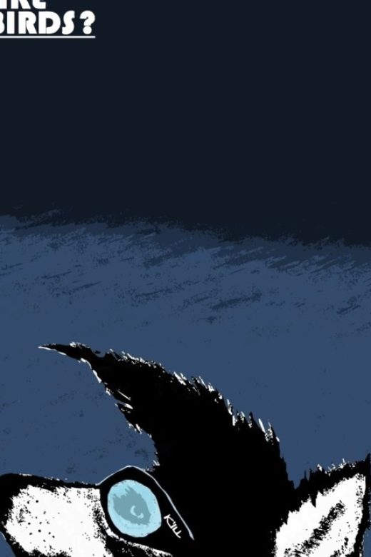 WHY DOGS DO NOT FLY LIKE BIRDS? 2012 | k-ill.ru